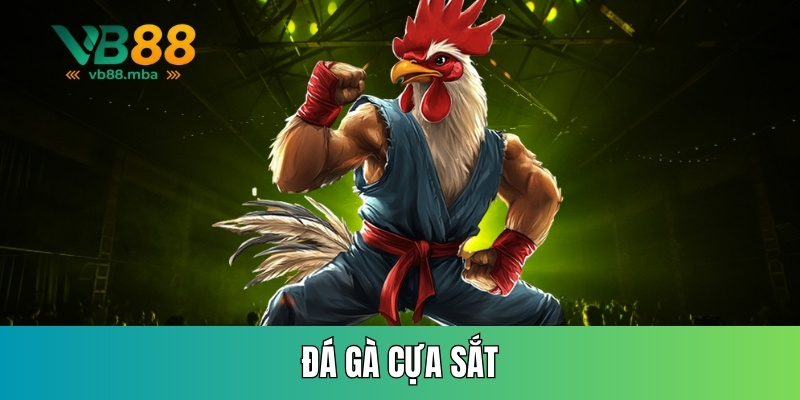 Đá gà cựa sắt
