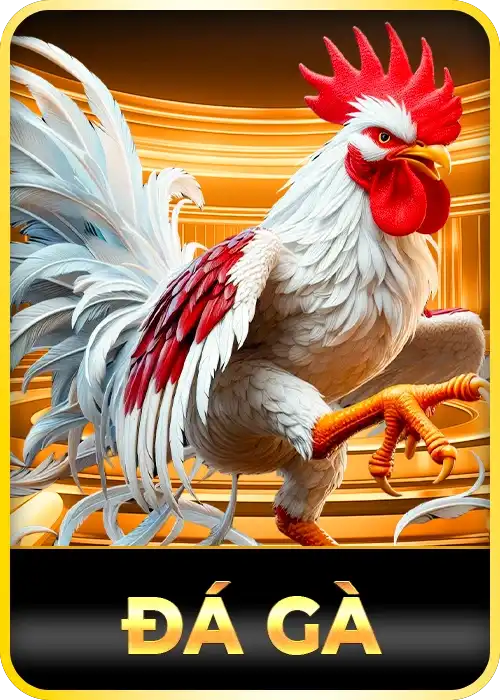 Đá gà